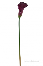 Calla tmav fialov vka 77 cm atelirov kvtina   <br>129 K/1 ks